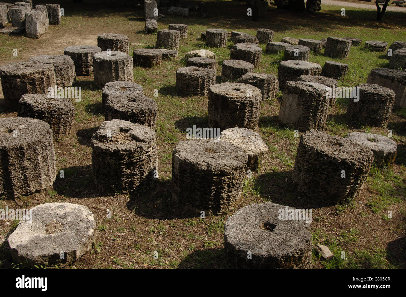 Arte greche. Resti di alberi di colonna. Olympia. La Grecia. Foto Stock