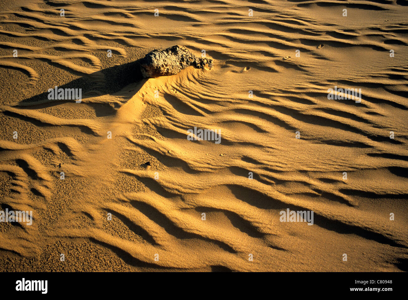 Africa, Ciad, la sabbia e le pietre nel deserto Foto Stock