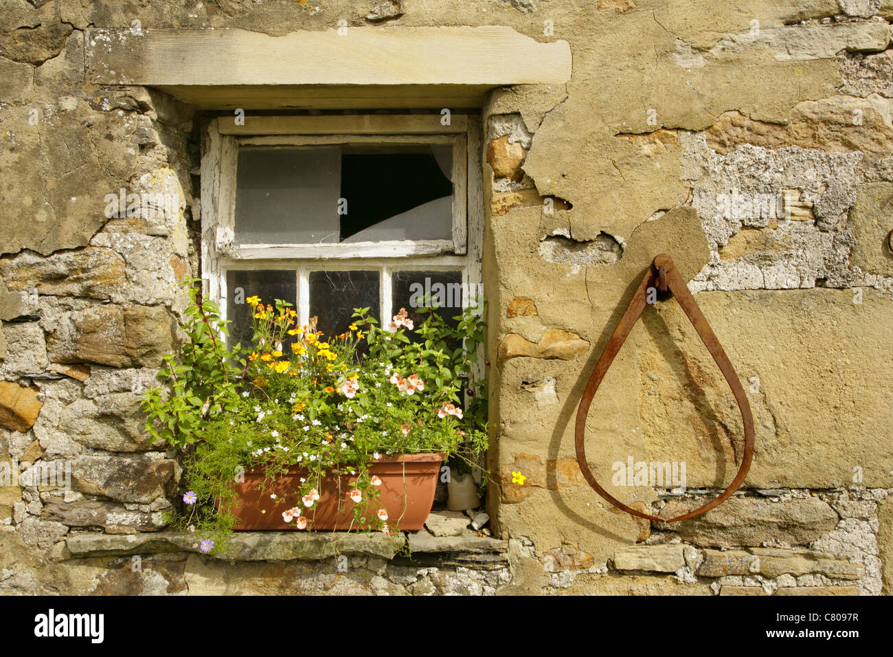 Calibri arrugginito appesa sul muro di pietra a fianco di finestra e windowbox. Foto Stock