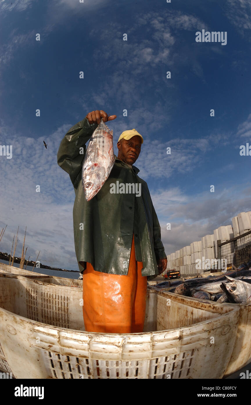 Pescatore di tonno, che mostra le catture, isola Pico Azzorre, Agosto Foto Stock