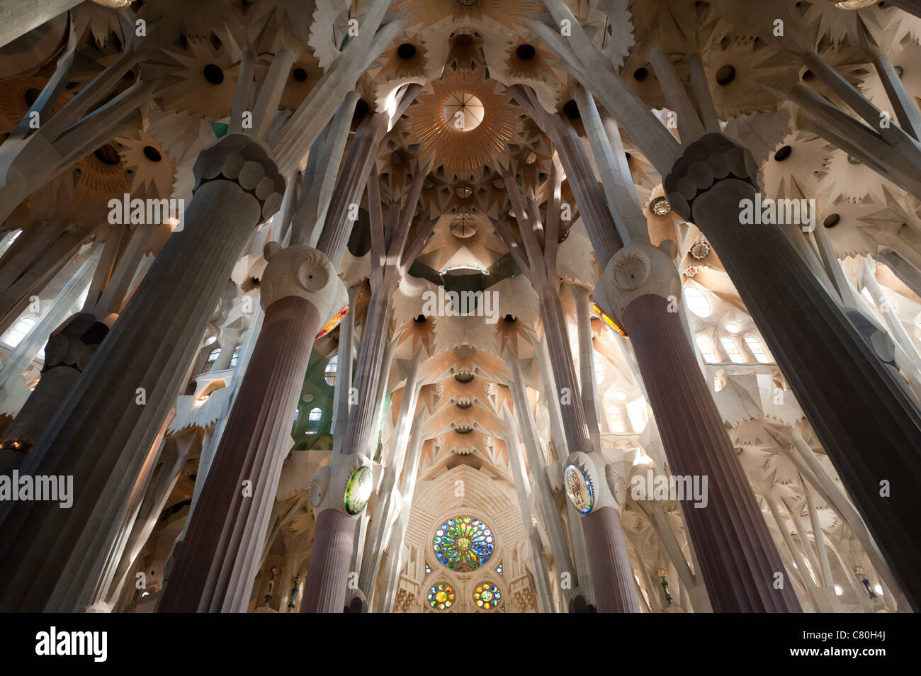 Gli interni della cattedrale della Sagrada Familia progettata da Gaudì a Barcellona, Spagna. Foto Stock