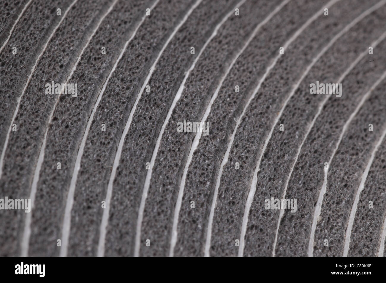 Macro guardare il rotolo - sfondo Foto Stock