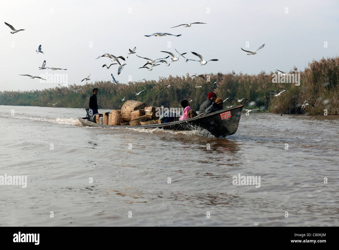 Myanmar Birmania, Stato Shan, Lago Inle, barca Foto Stock