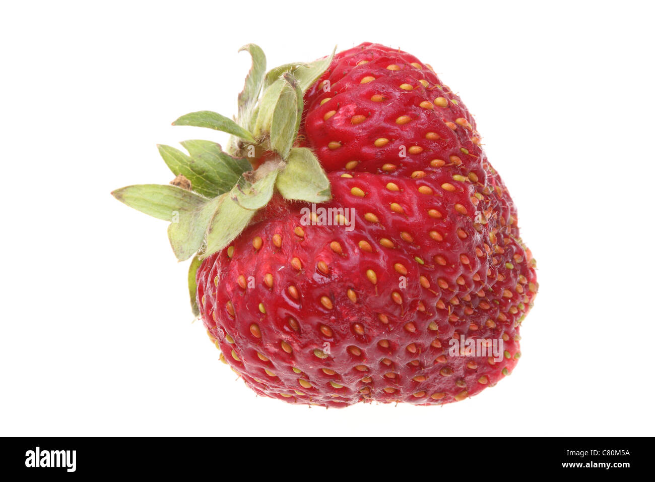 Rosso fresco Fragole isolato su sfondo bianco Foto Stock
