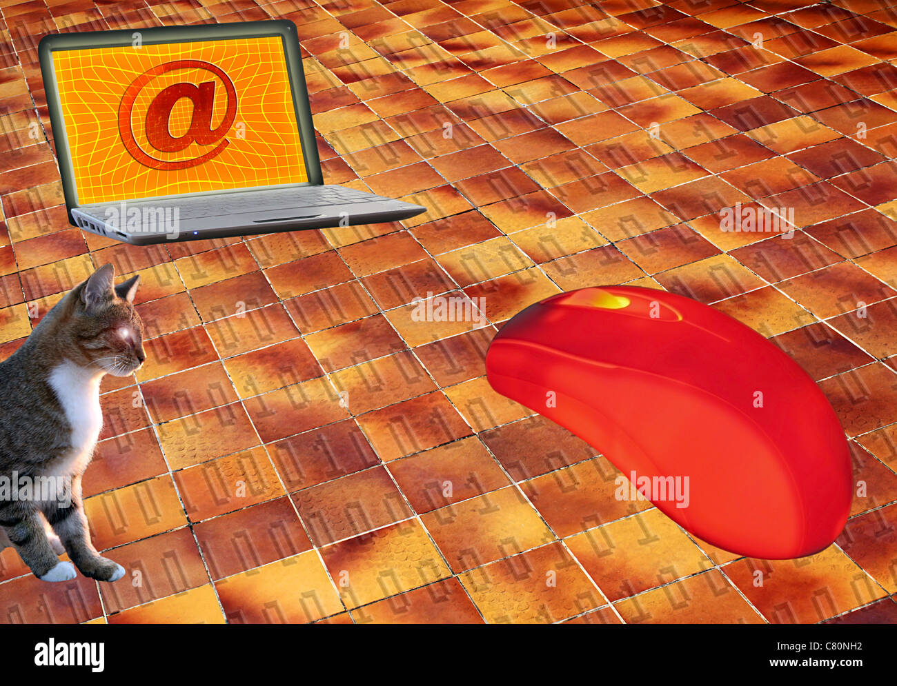 Gatto cercando sul mouse del computer che è diretto al laptop Foto Stock