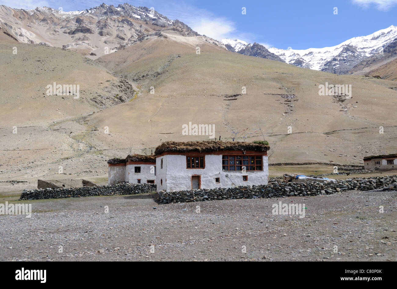 Un piatto tradizionale con tetto in casa del villaggio di Rangdum in Zanskar .. Legno per combustibile e il fieno vengono memorizzati sul tetto . Foto Stock