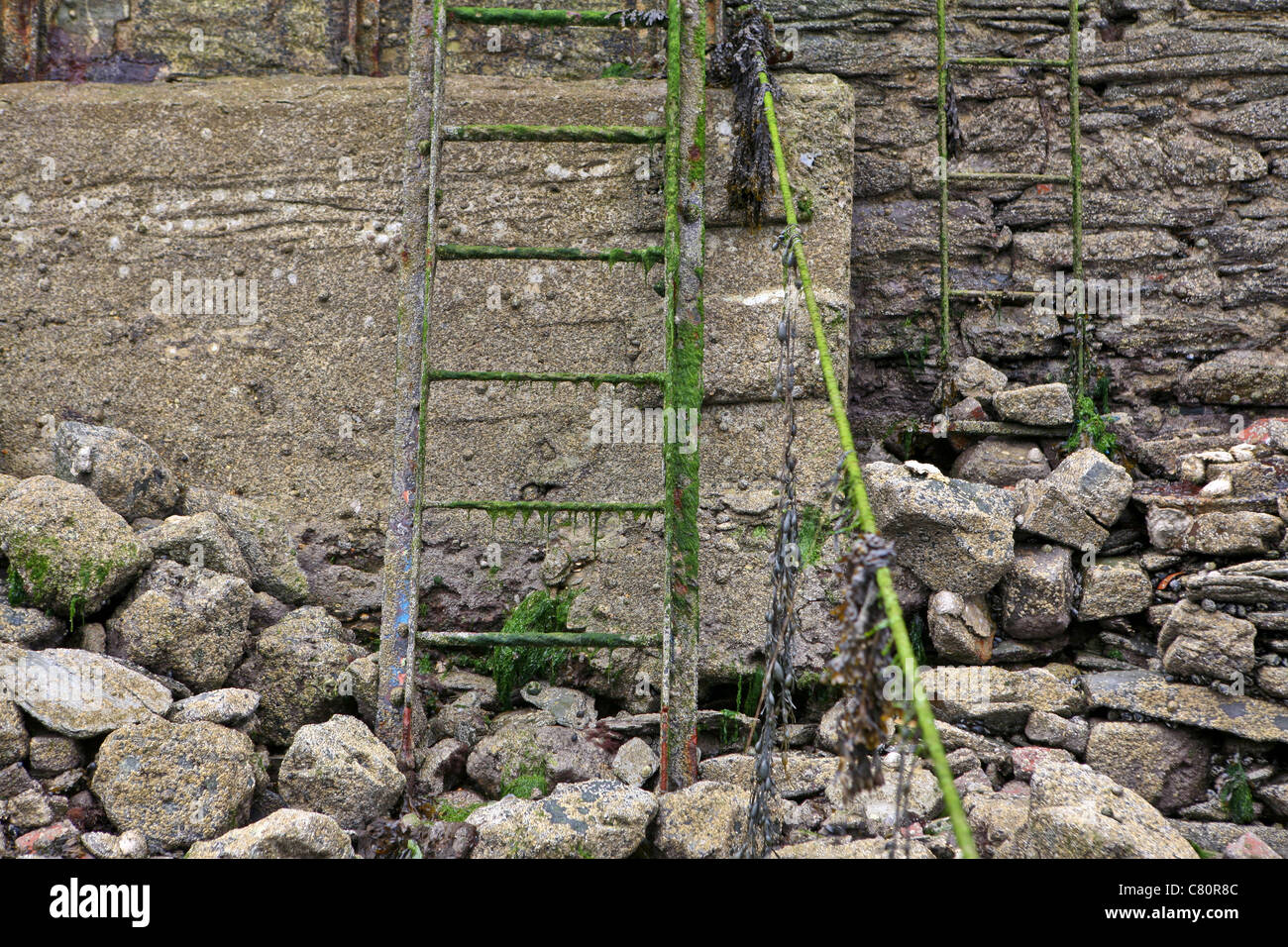 Due scale di metallo esposta a bassa marea Foto Stock