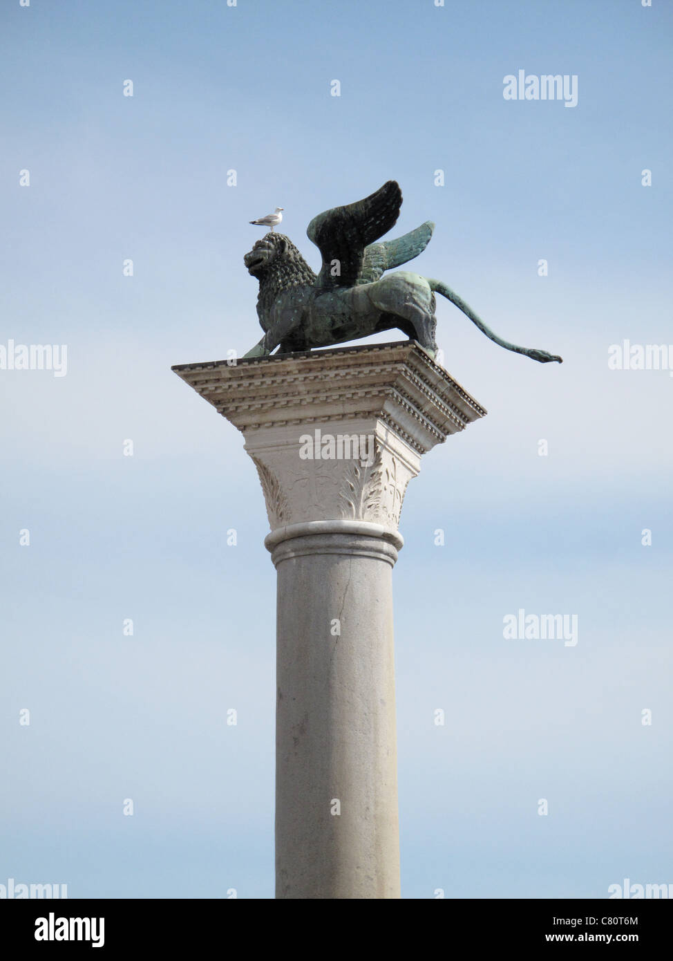 Colonna di pietra lion statua al piccione seduti sulla testa a Venezia Foto Stock