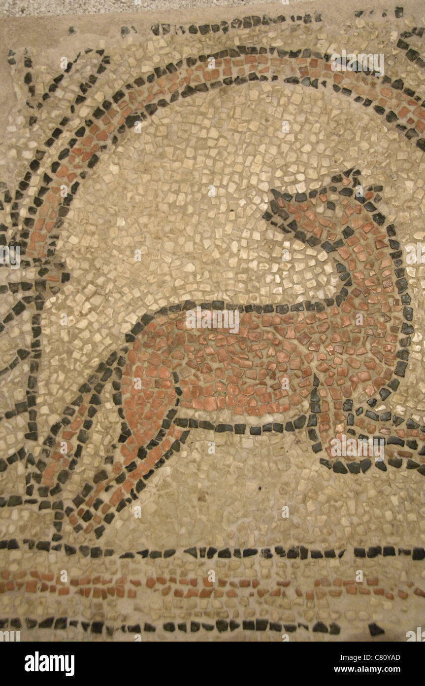 Inizio arte cristiana. Mosaico raffigurante un cane. Databili tra il v e il VI secolo. Corfù. La Grecia. Foto Stock
