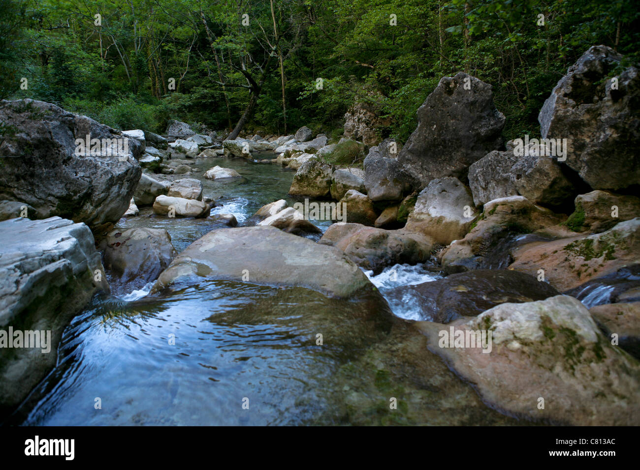 Fiume / acqua che scorre su e intorno grandi rocce, attraverso un bosco Foto Stock