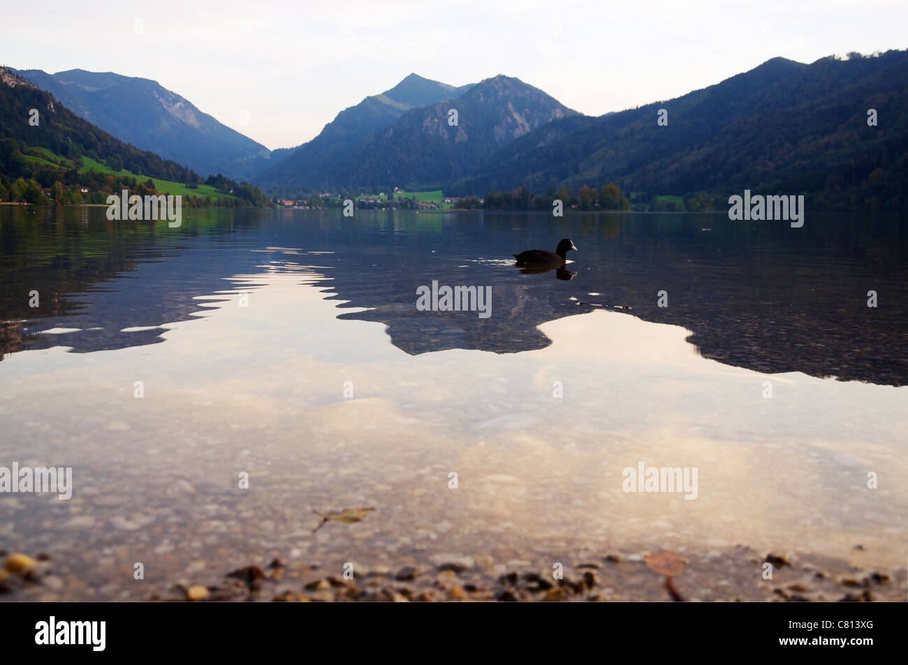 Tranquilla serata estiva sul lago Schliersee nelle Alpi Bavaresi Foto Stock