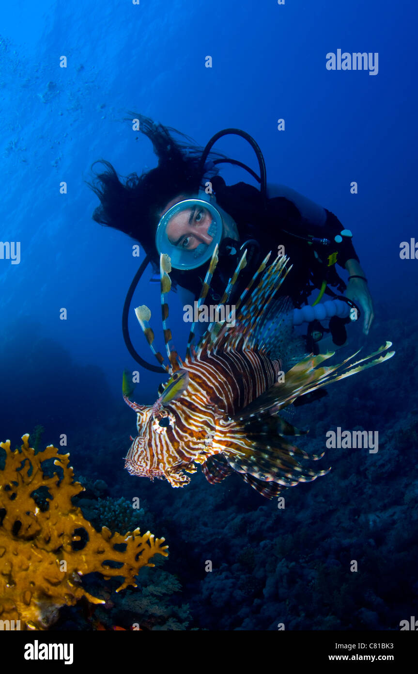 Immersioni in Mar Rosso, subacqueo, femmina sub, maschera ovale, fotografo, fotocamera, pesce leone, pesci, reef tropicali, acqua azzurra. Foto Stock