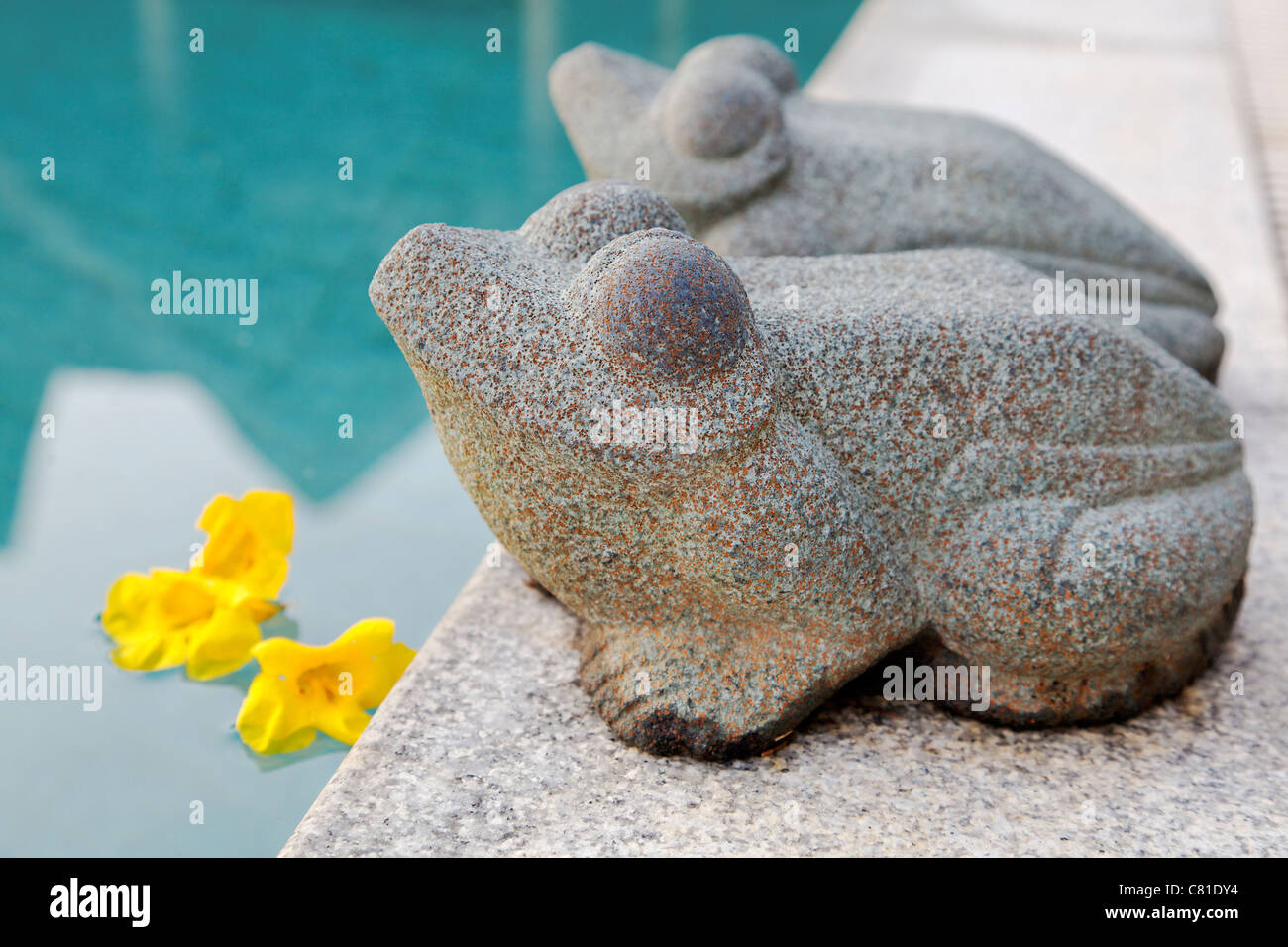 Paesaggio di pietra scolpita rane ornamentali rivolta ad ovest a bordo piscina piscina con acqua blu spazio raccolto spazio copia petali orizzontale Foto Stock