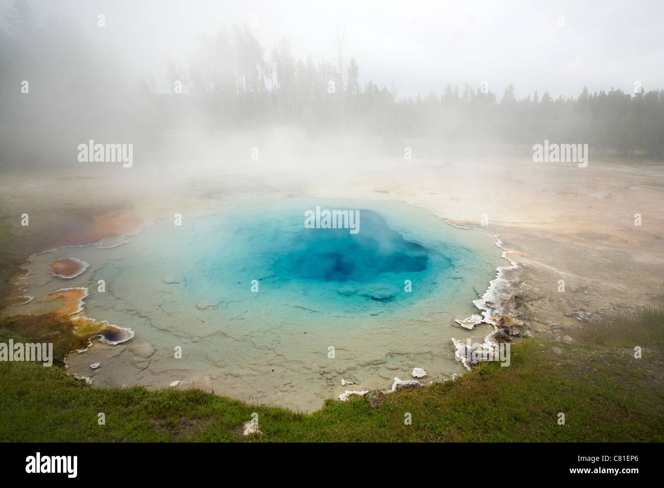 Trasparente, blu, bella geyser e densa nebbia nel Parco Nazionale di Yellowstone, Wyoming negli Stati Uniti. Foto Stock