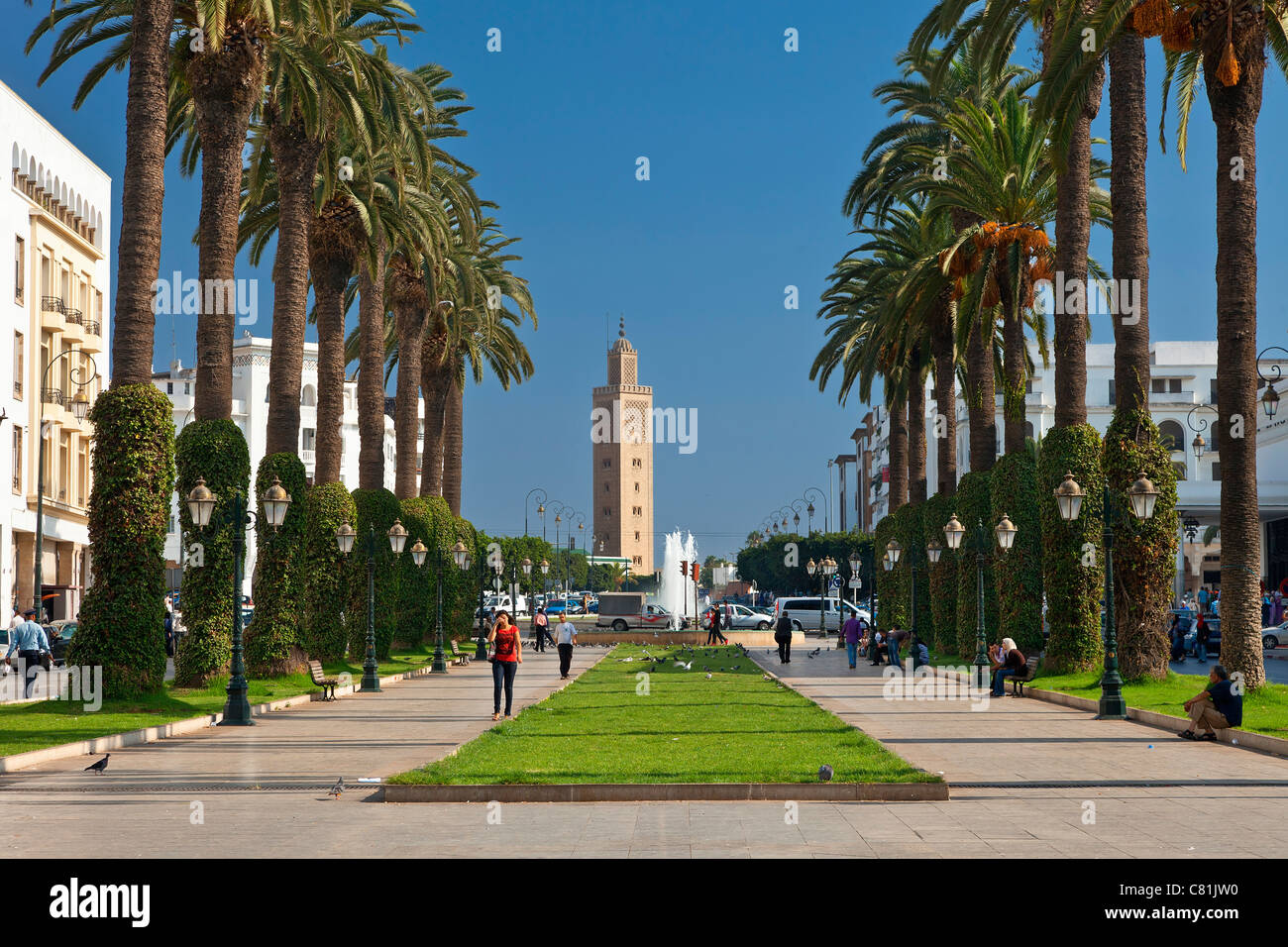 Il Marocco, Mohammed V Avenue Foto Stock