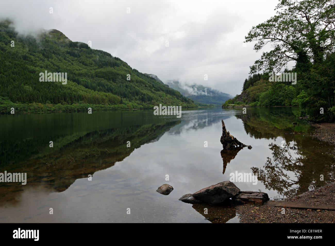 Loch Eck in Argyll Forest Park, Argyl e Bute, Scozia. Foto Stock