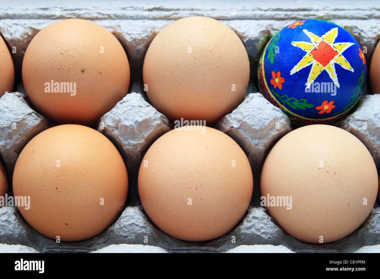 Pysanka blu uovo di pasqua in una scatola di cartone di uova di colore marrone Foto Stock