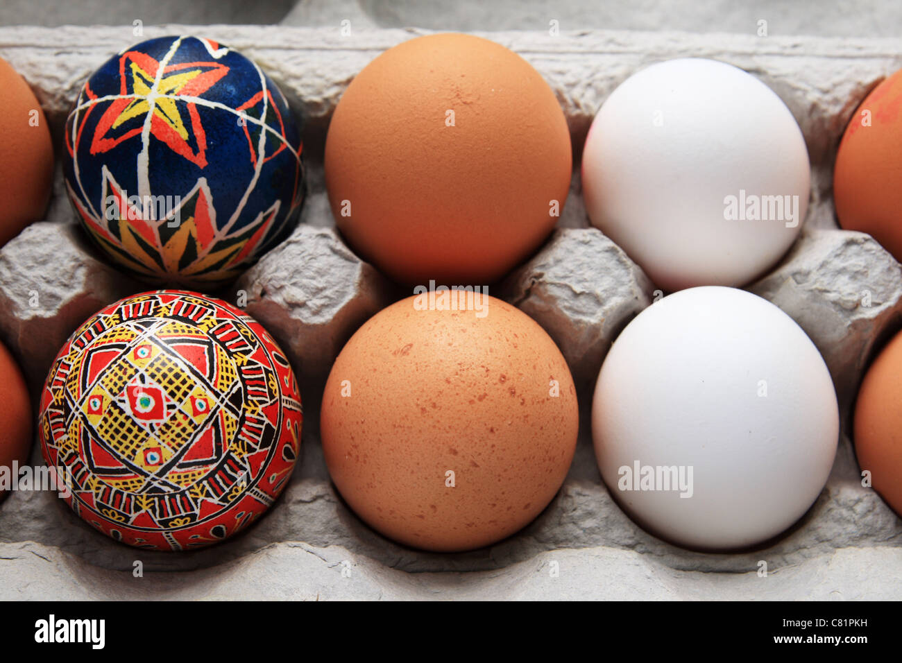 Sei diverse uova in una scatola di cartone compresi due due bianco marrone e due pysanka uova di Pasqua Foto Stock
