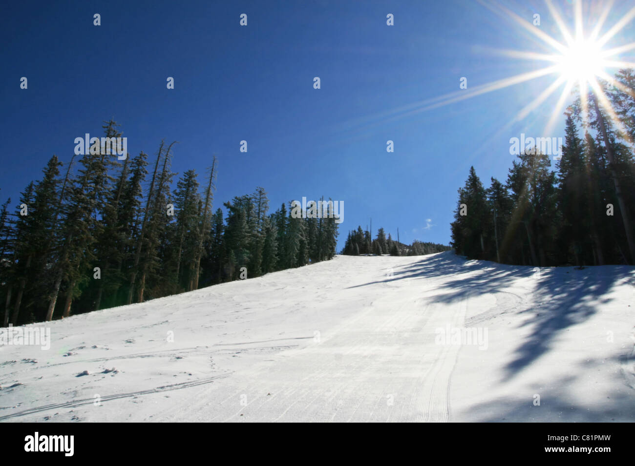 La ricerca di una pista da sci al sole con lens flare Foto Stock