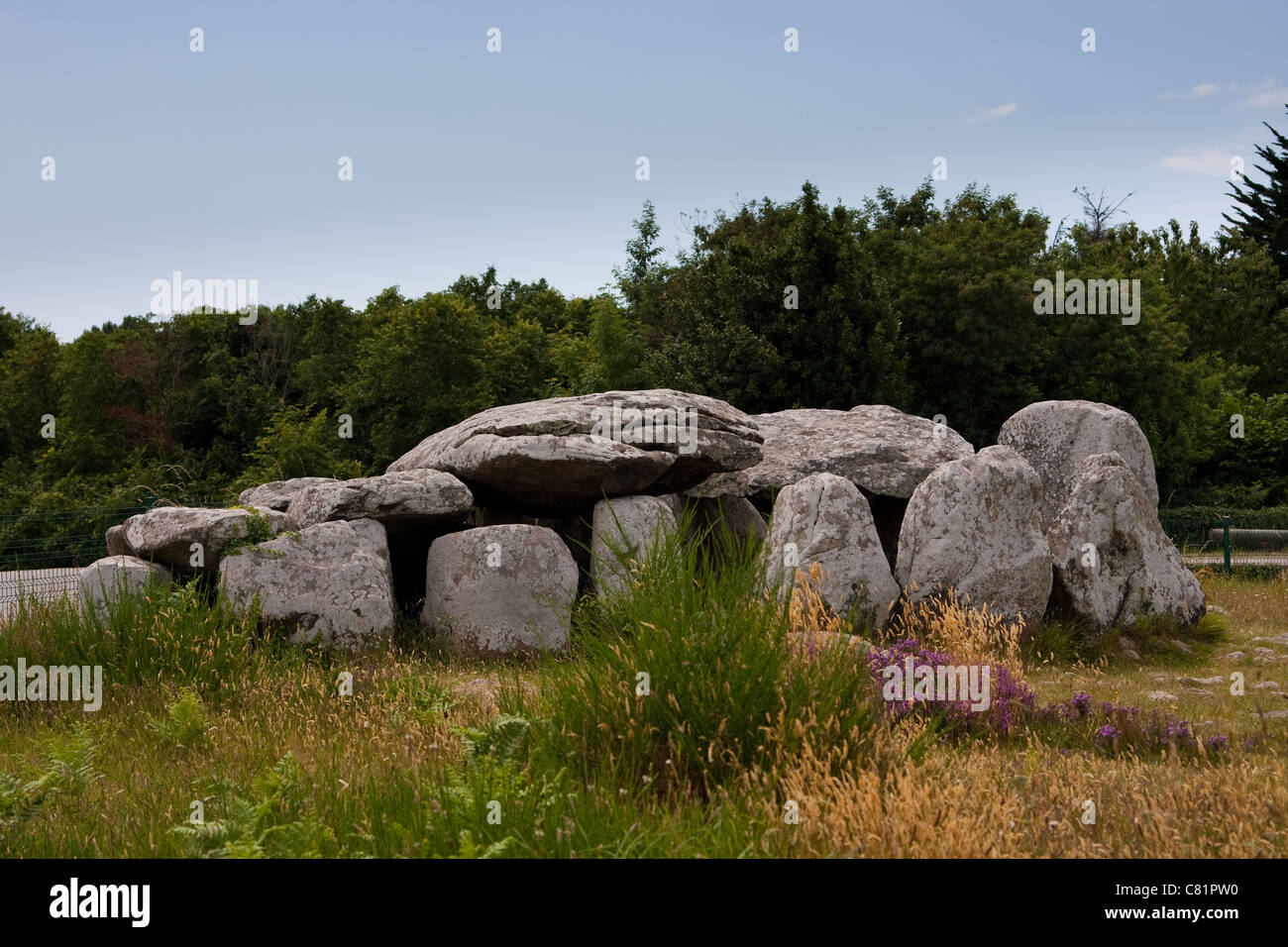 Le pietre di Carnac, un sito megalitico in Bretagna, Francia Foto Stock