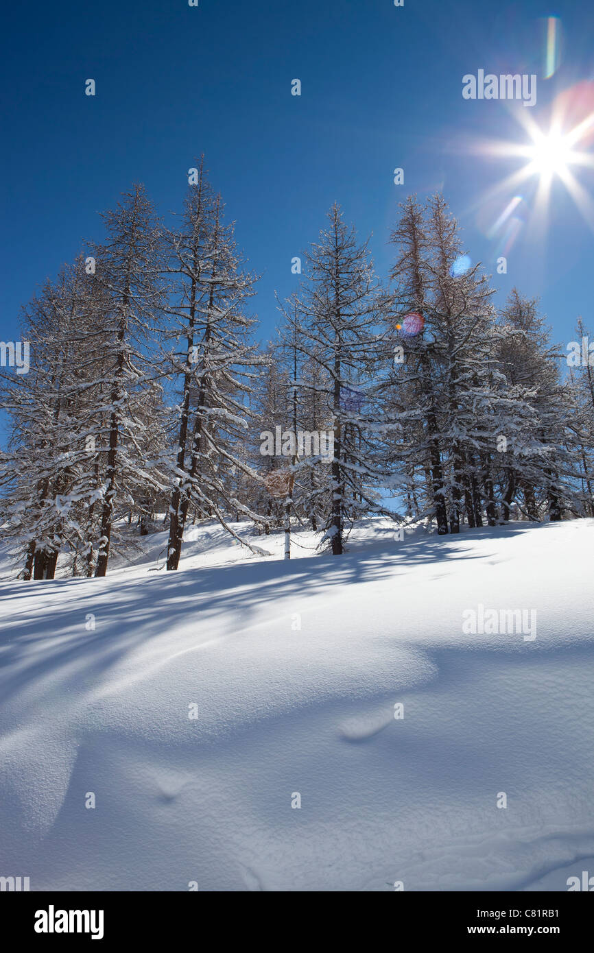 Vergine neve e sole sulla Via Lattea, Sauze d'Oulx, Piemonte, Italia Foto Stock