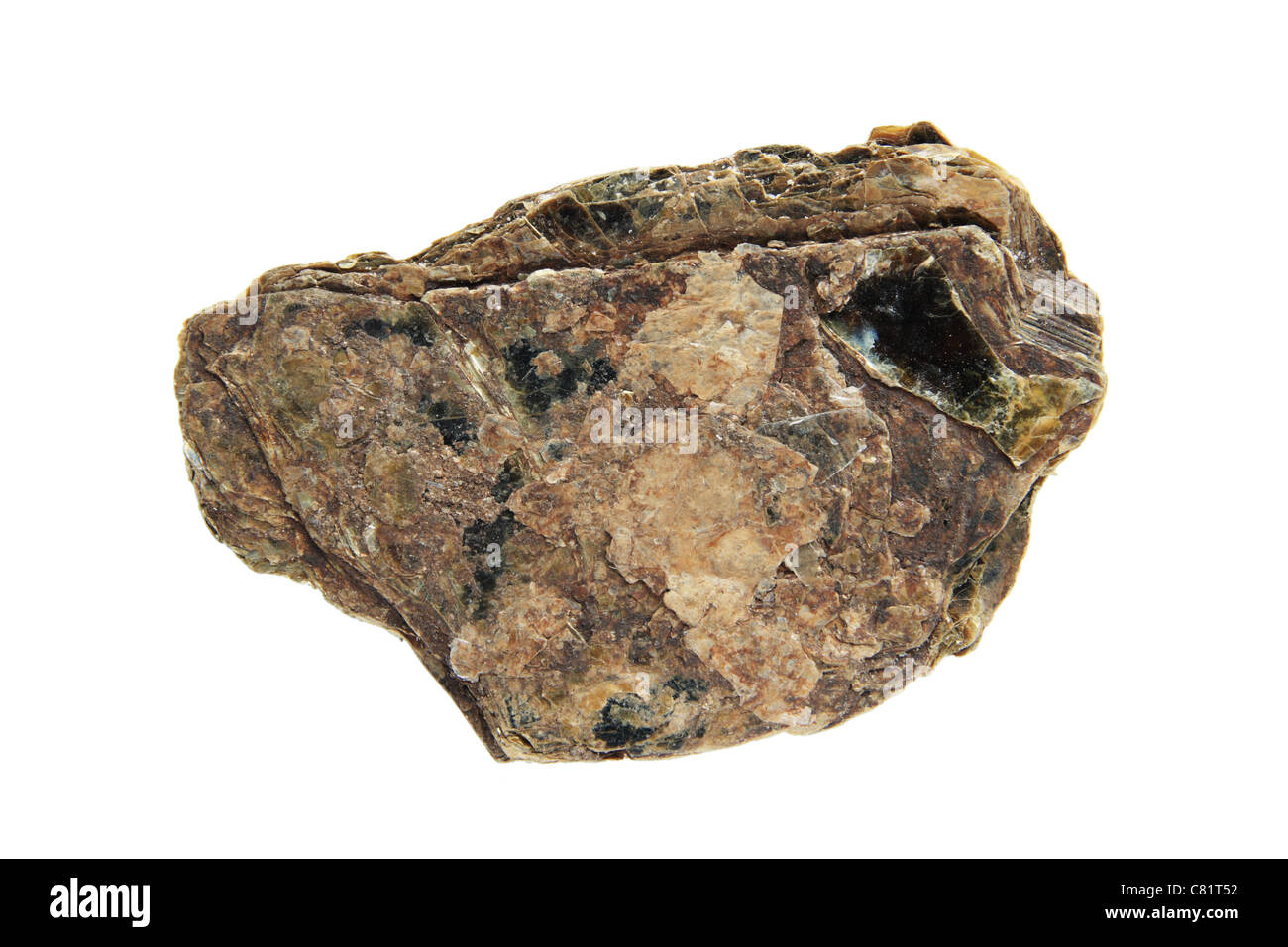 Mica jefferisite campione minerale isolato su bianco Foto Stock