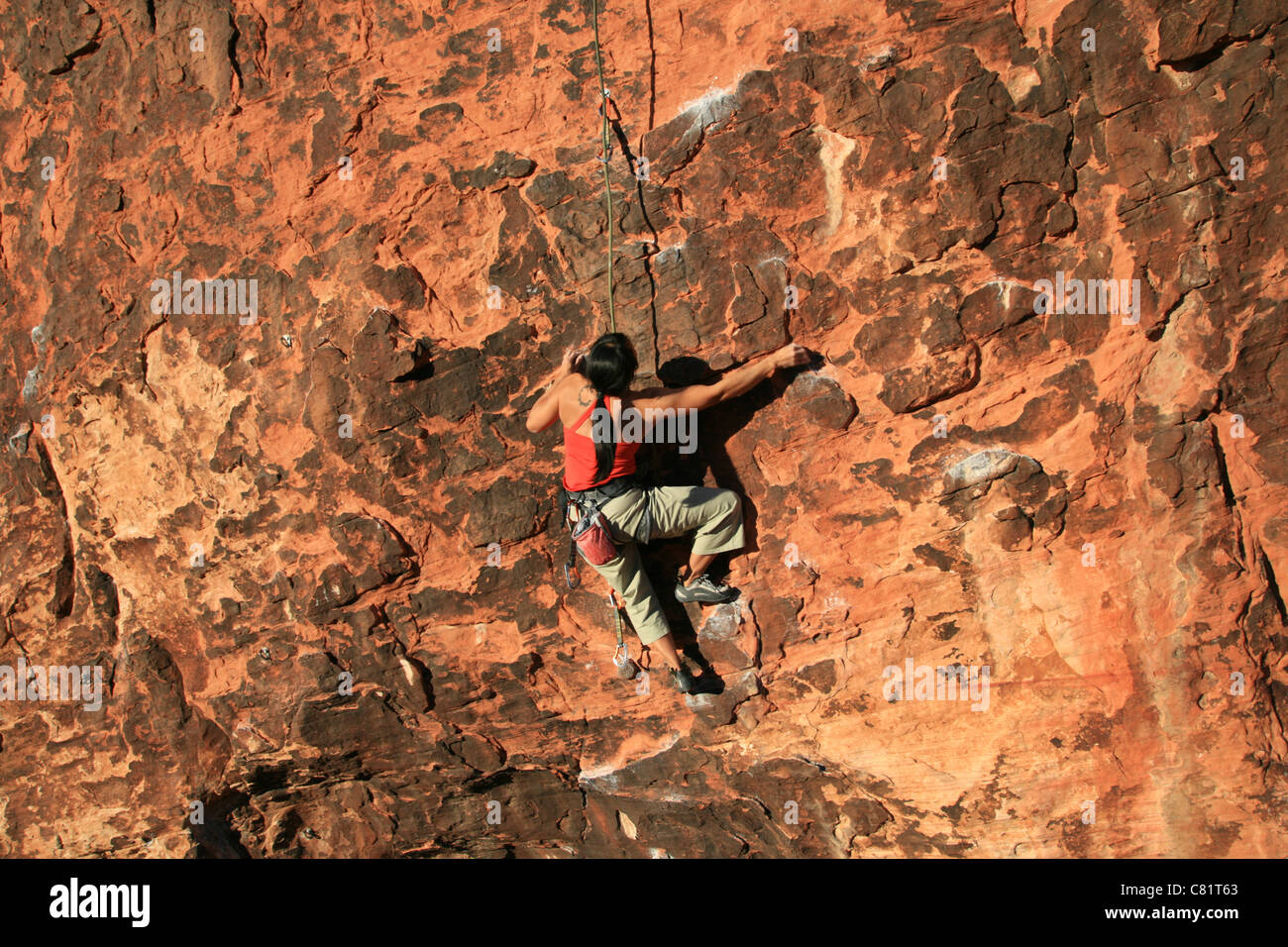 Donna rocciatore in rosso salendo una pietra arenaria rossa scogliera di roccia rossa, il nevada Foto Stock