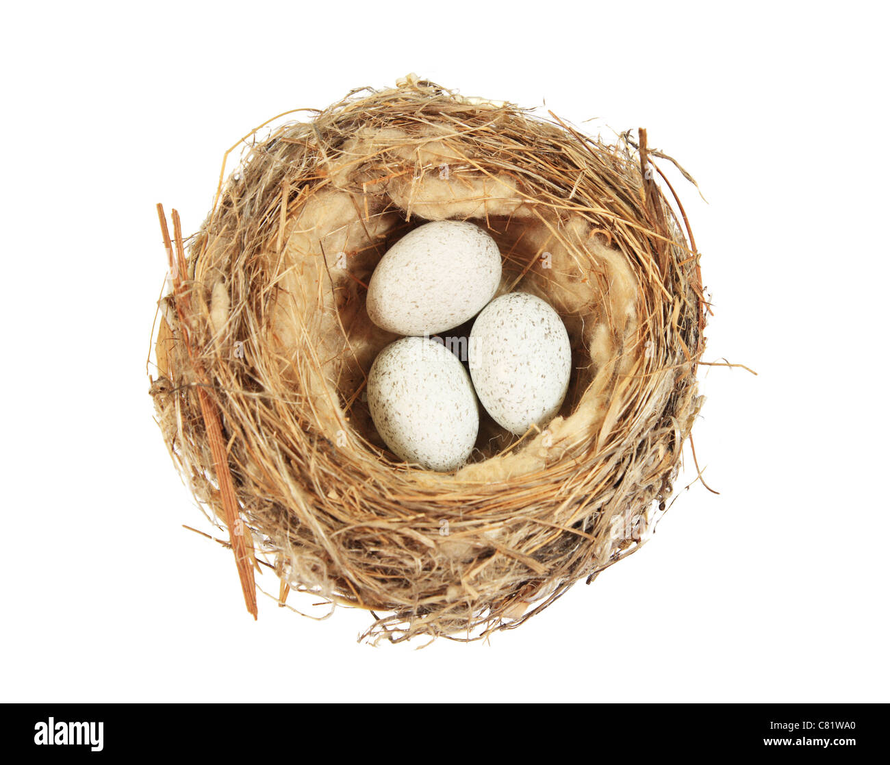 Nido di uccelli con tre uova granuloso isolato su bianco Foto Stock