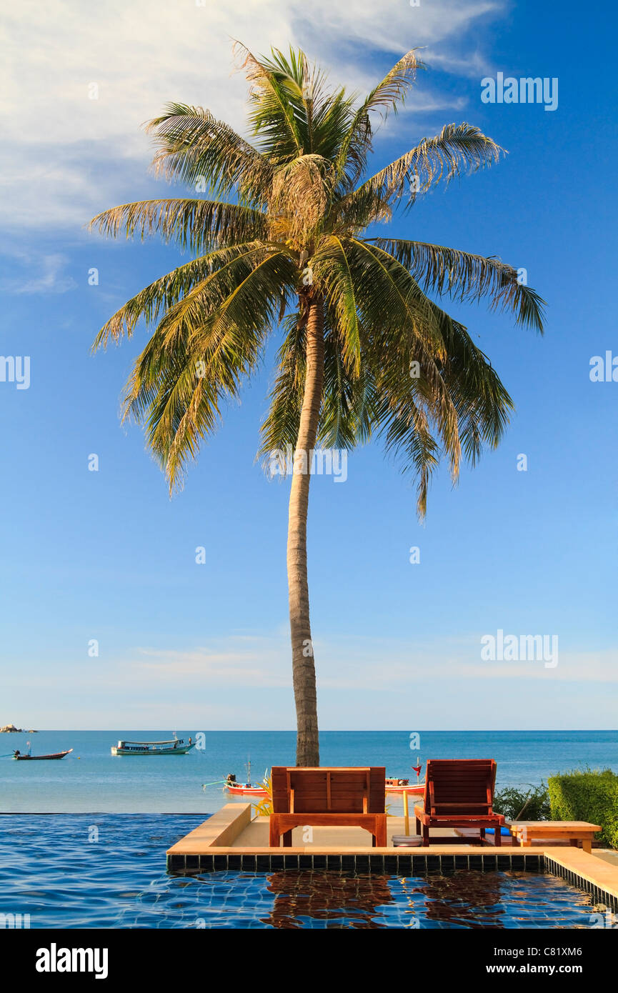 Piscina sul mare in Thailandia accanto ad una alta palma Foto Stock