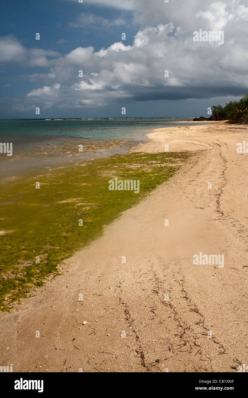 Spiaggia di Las Cabezas de San Juan vicino a Fajardo in Puerto Rico. Foto Stock