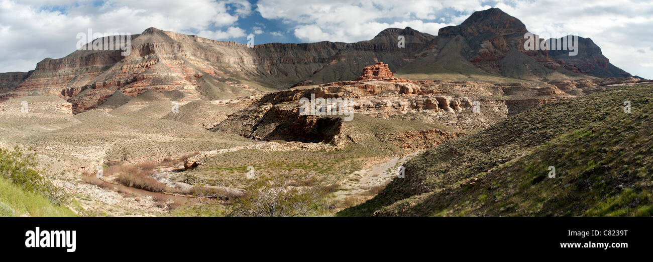 La Vergine River Canyon nell'estremo angolo nord-ovest di Arizona, con le scogliere di punti di colore grigio Foto Stock