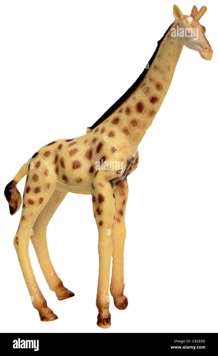 Giocattolo di plastica giraffe figurina isolati su sfondo bianco modello di rilascio: No. Proprietà di rilascio: No. Foto Stock