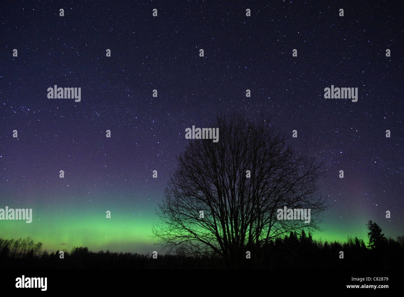 La notte con le luci del nord (Aurora Boreale nel cielo. Foto Stock