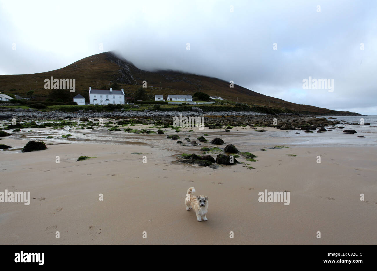 La spiaggia di Dugort su Achill Island nella contea di Mayo chiamato Golden Strand Foto Stock