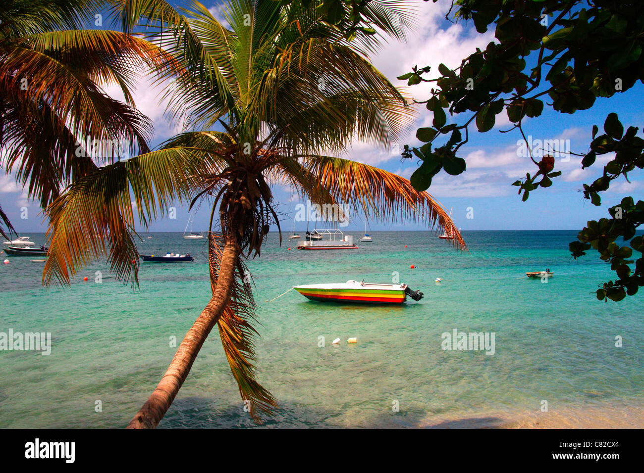 La spiaggia di Esperanza nell'isola di Vieques, Puerto Rico. Foto Stock