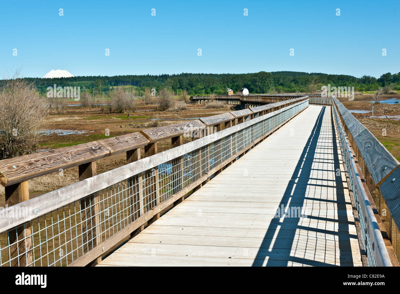 Nisqually wildlife rifiutare Foto Stock