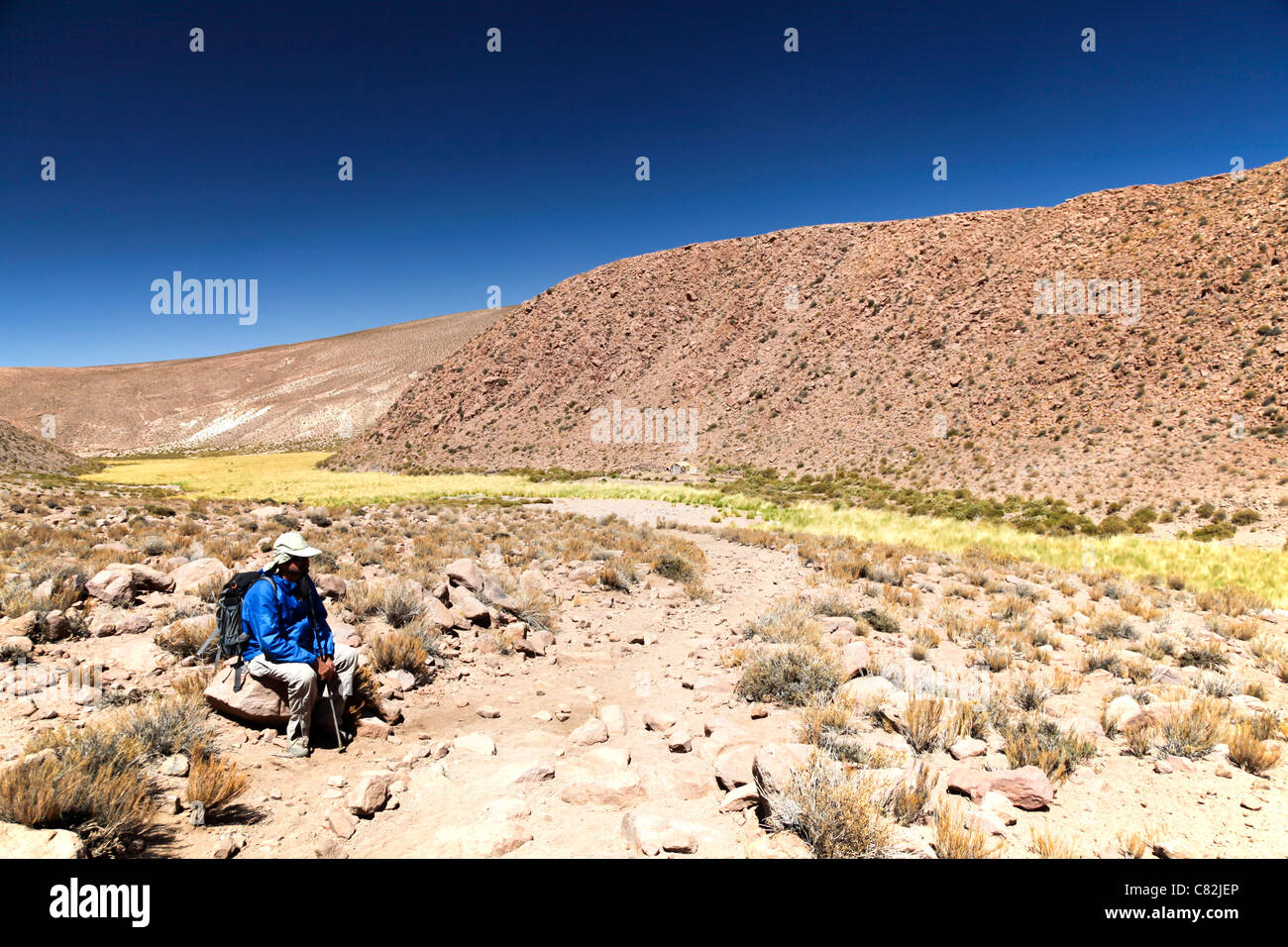 Escursionista in appoggio nel Rio Grande Valley, il Deserto di Atacama, Cile Foto Stock