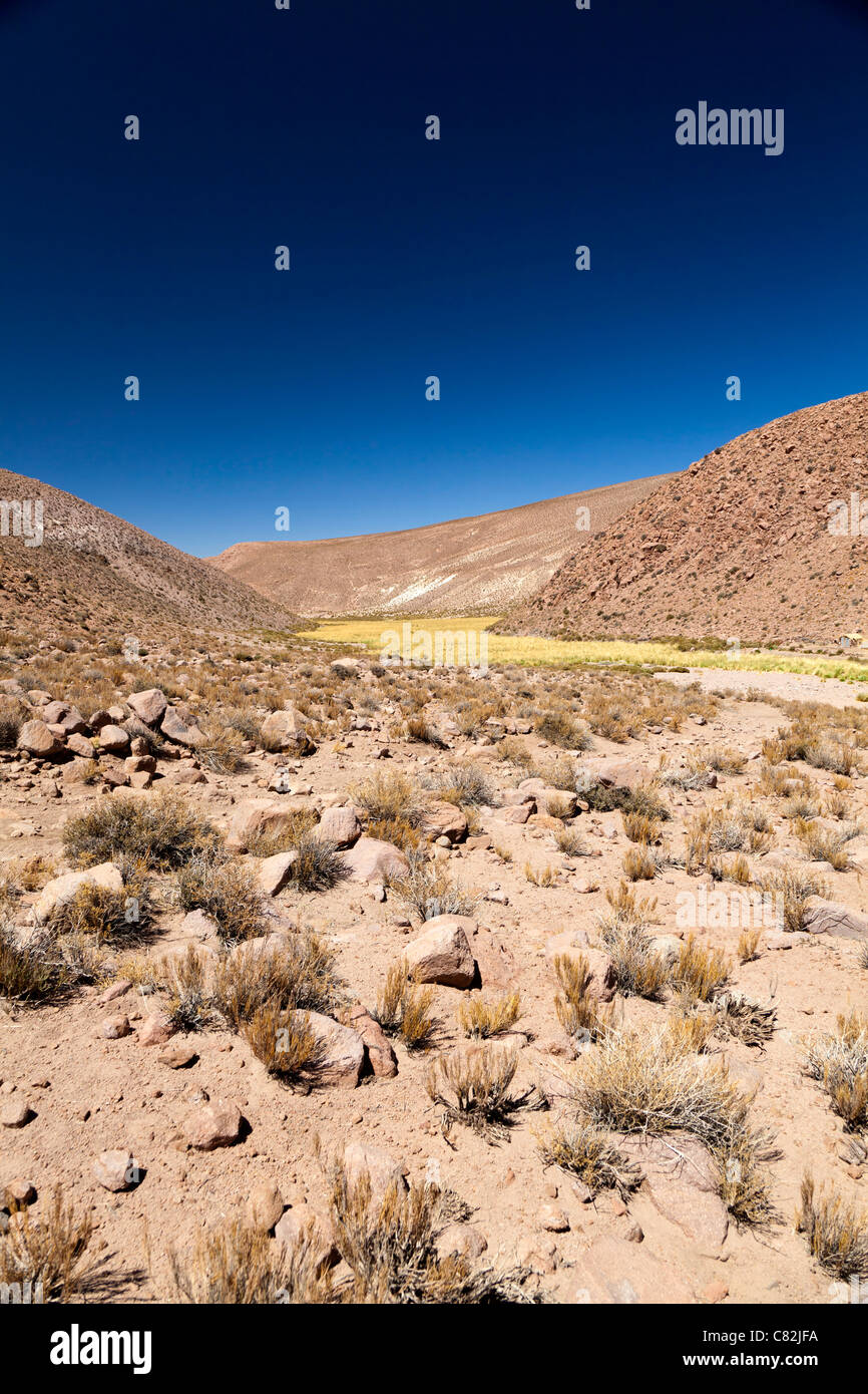 Il soleggiato sentiero attraverso il Rio Grande Valley, il Deserto di Atacama, Cile Foto Stock