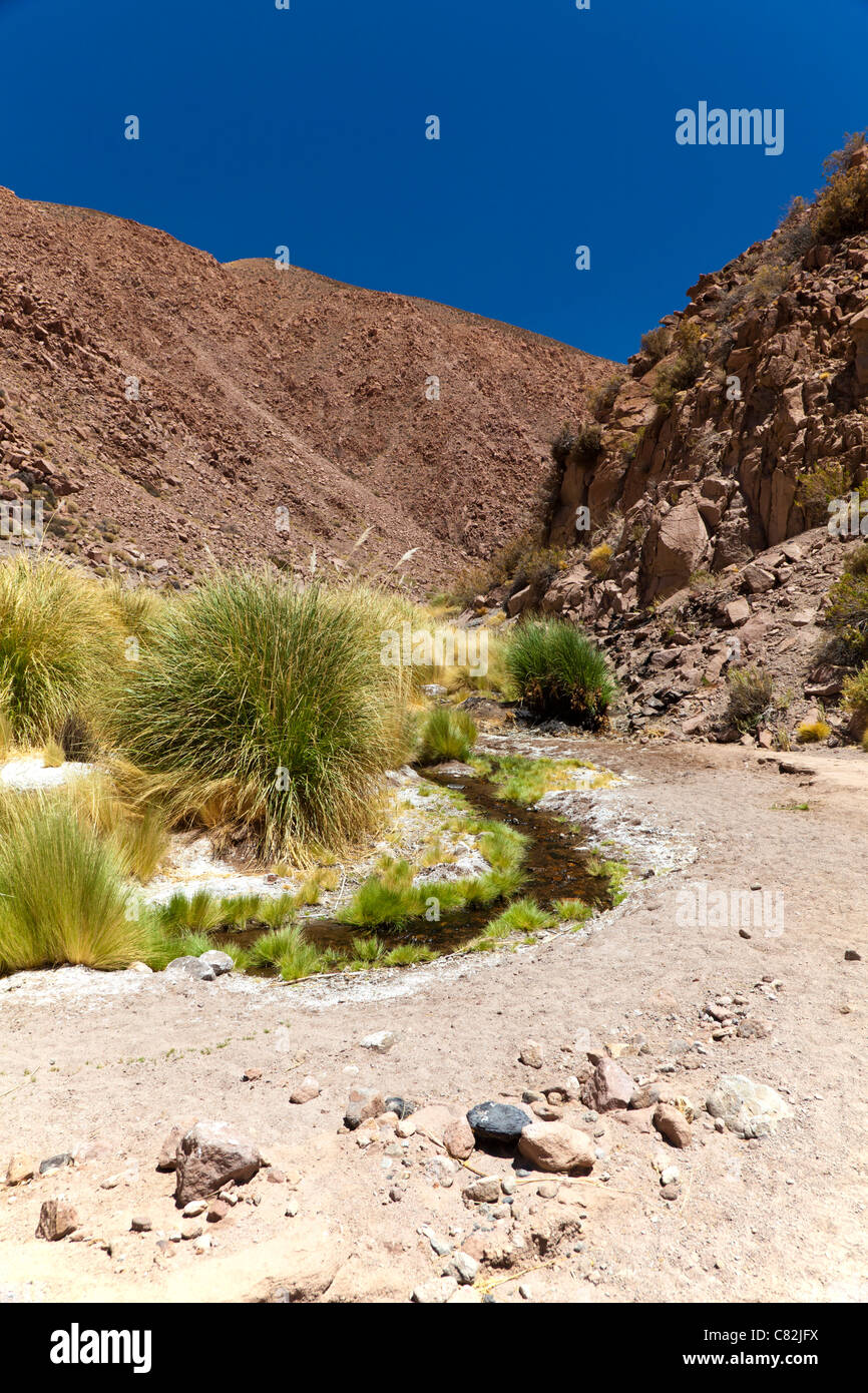 Piccolo fiume avvolgimento attraverso il Rio Grande, il Deserto di Atacama, Cile Foto Stock
