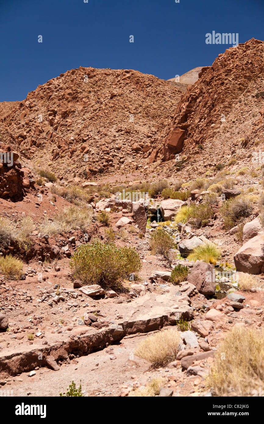Percorso roccioso attraverso il Rio Grande, il Deserto di Atacama, Cile Foto Stock