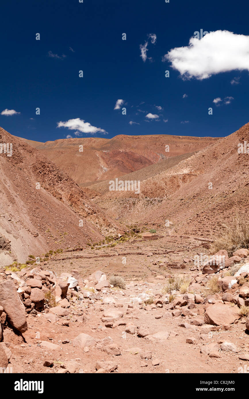 Rio Grande Valley, il Deserto di Atacama, Cile Foto Stock