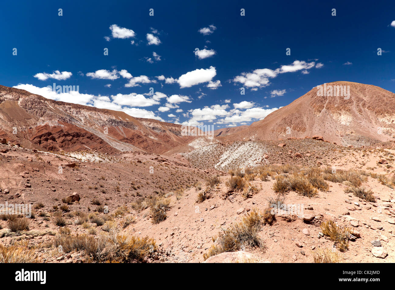 Rio Grande Valley, il Deserto di Atacama, Cile Foto Stock