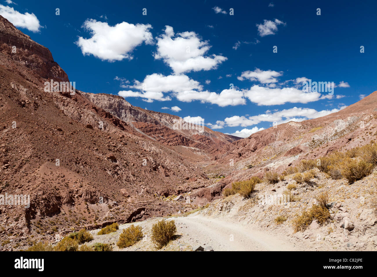 Il sentiero conduce attraverso il Rio Grande Valley, il Deserto di Atacama, Cile Foto Stock