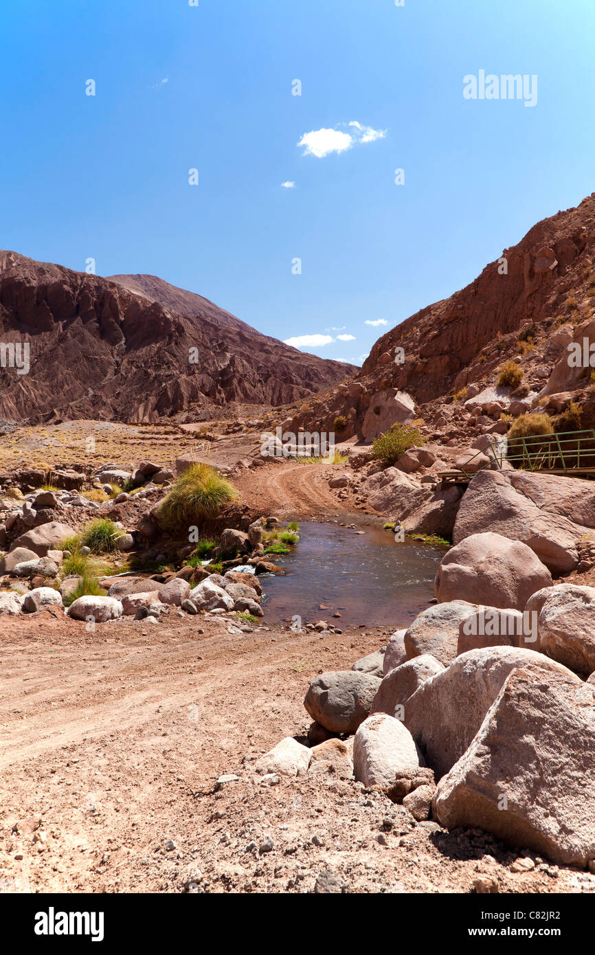 Piccolo fiume nel Rio Grande Valley, il Deserto di Atacama, Cile Foto Stock