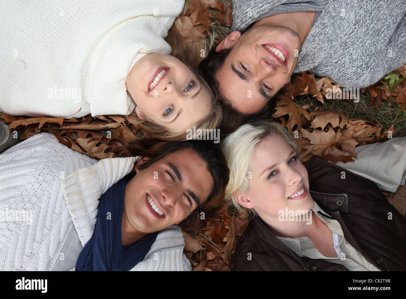 4 giovani capi in erba in autunno Foto Stock