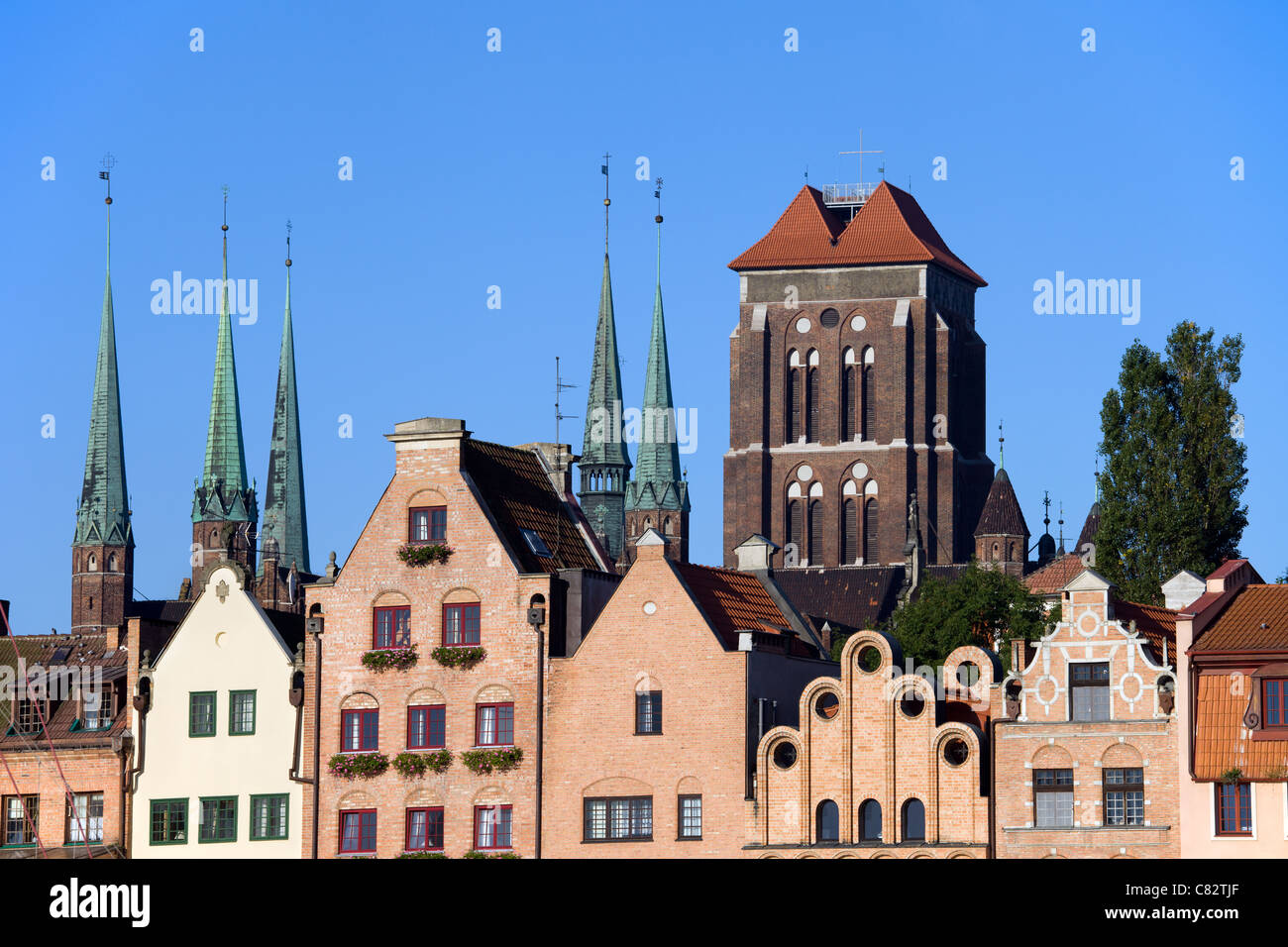 Città Vecchia case con la Chiesa della Beata Vergine Maria (Polacco: Bazylika Mariacka) in background nella città di Gdansk, Polonia Foto Stock