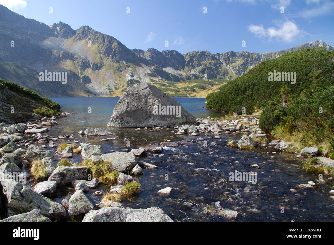 Valle di 5 laghi, nei monti Tatra di Polonia. Stream che conduce lontano dal lago Wielki. Foto Stock
