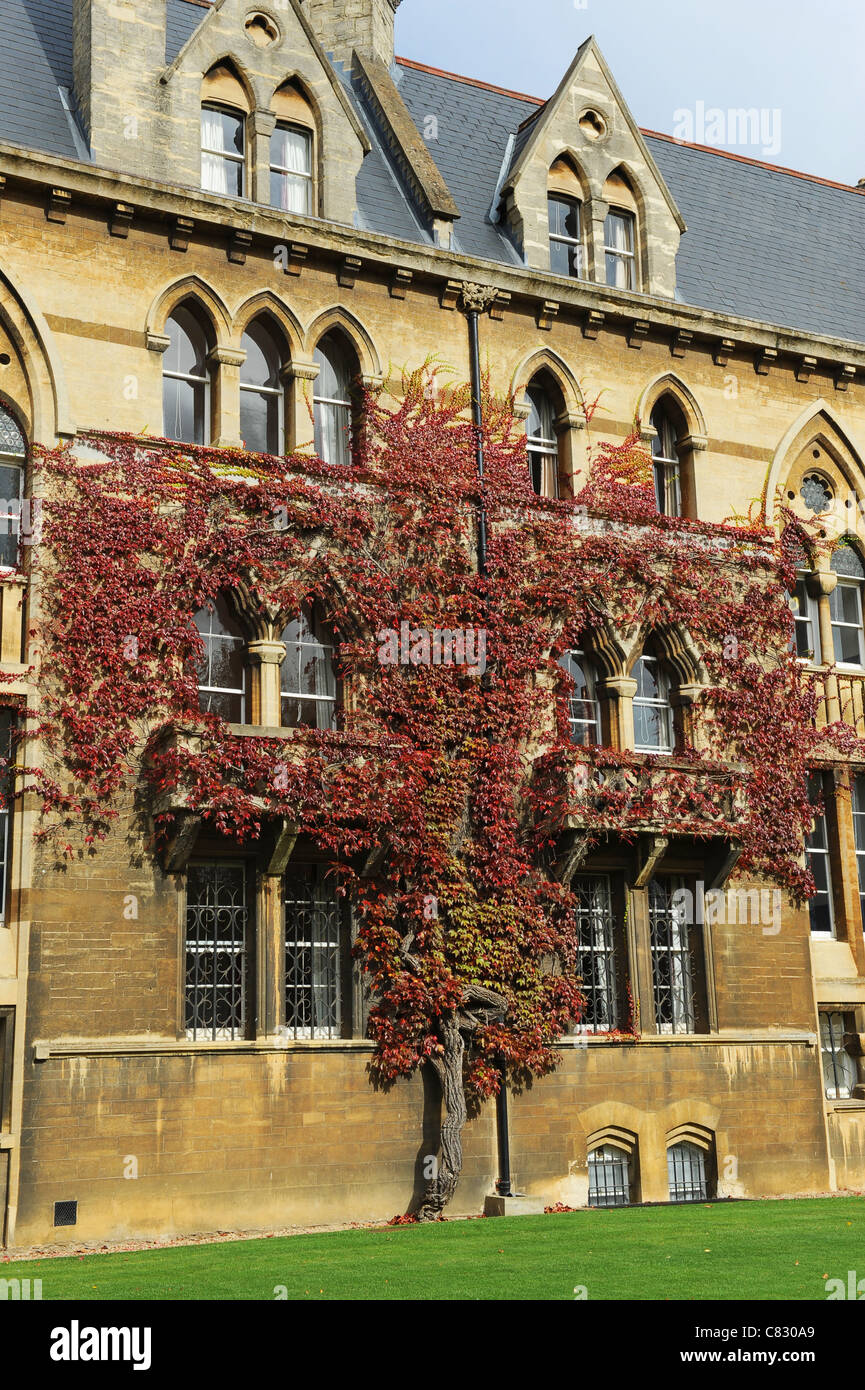Virginia superriduttore su Christ Church College entrata anteriore e la facciata dell'Università di Oxford Inghilterra Regno Unito Foto Stock