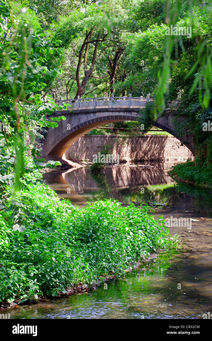 Stone srach ponte su un fiume in un geen park Foto Stock