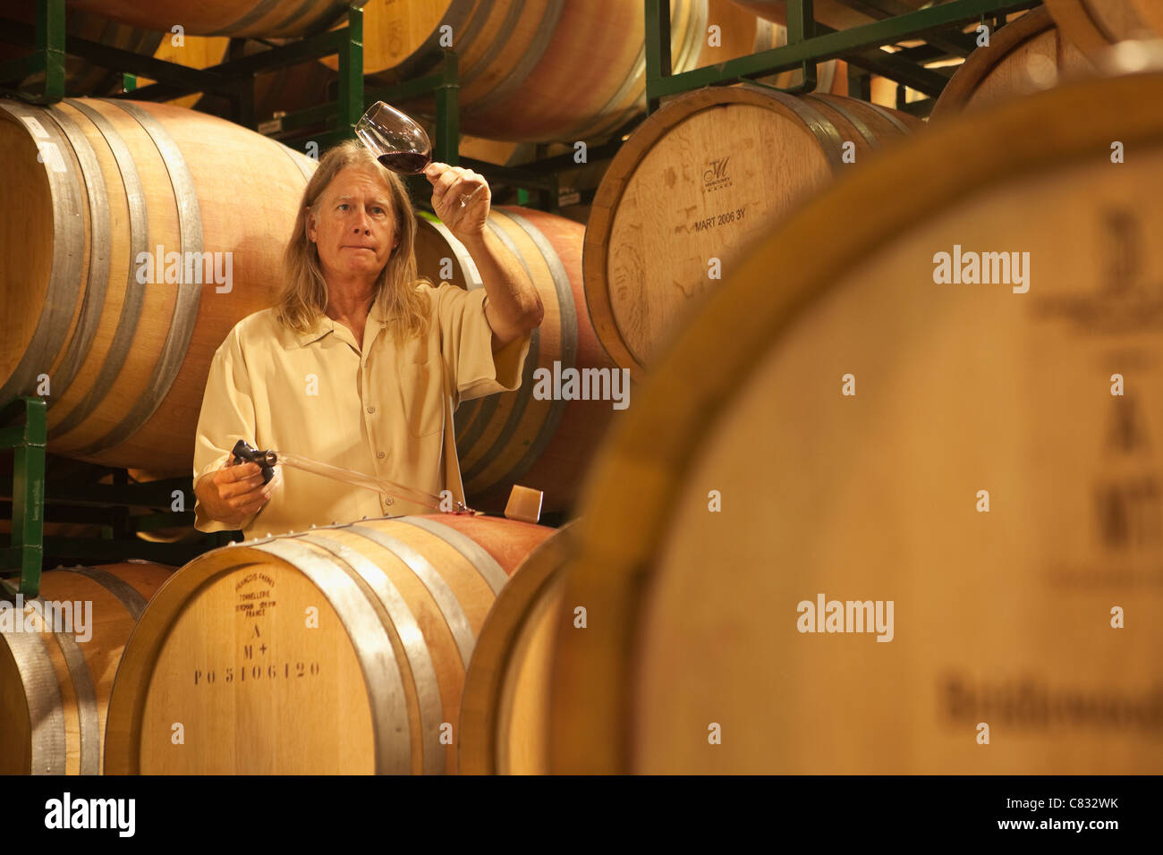 Vignaiolo David Hopkins campioni un recente annata utilizzando un ladro di vino, Bridlewood Cantina Santa Ynez Valley, California Foto Stock